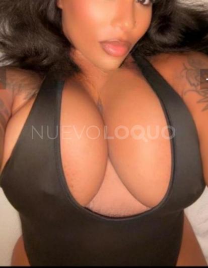 NuevoLoquo2