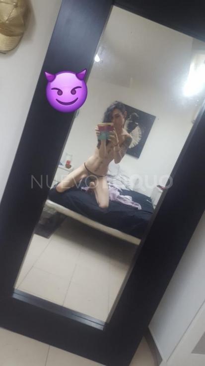 NuevoLoquo3