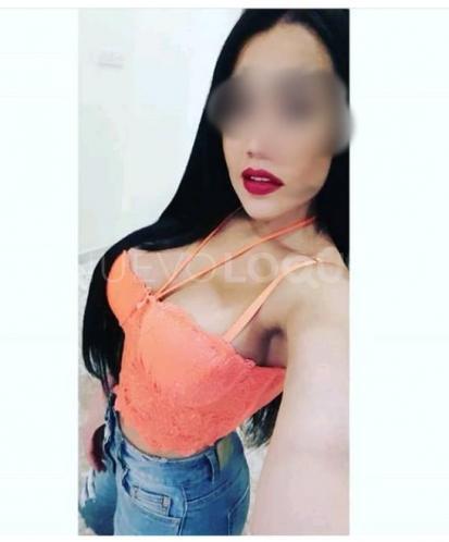 NuevoLoquo3