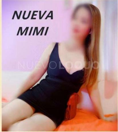 NuevoLoquo3