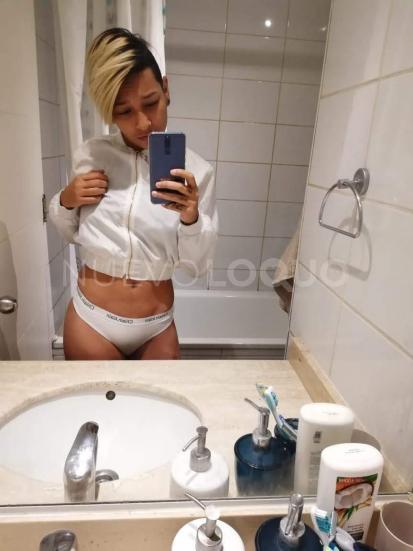 NuevoLoquo3