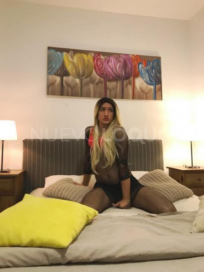 NuevoLoquo1