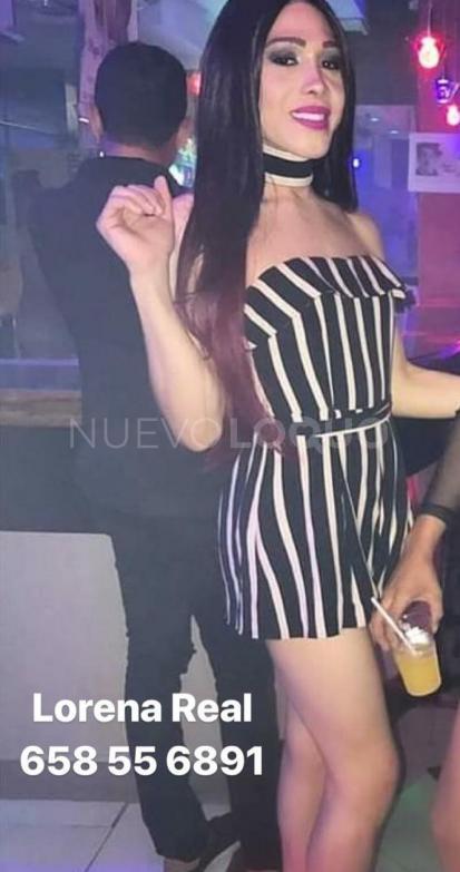NuevoLoquo2