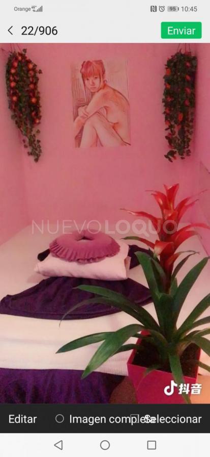 NuevoLoquo5