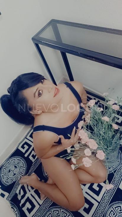 NuevoLoquo1