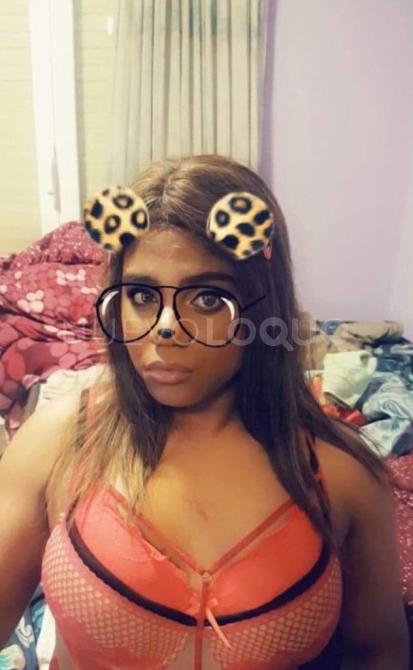 NuevoLoquo3