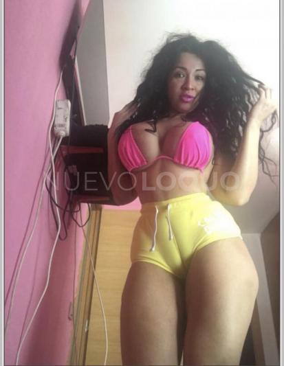 NuevoLoquo2