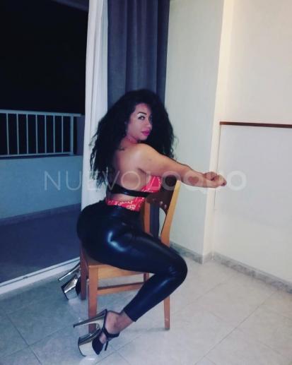 NuevoLoquo4