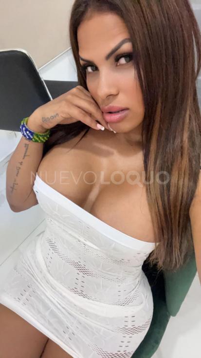 NuevoLoquo3