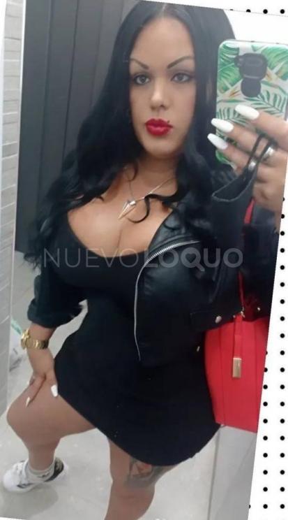 NuevoLoquo2