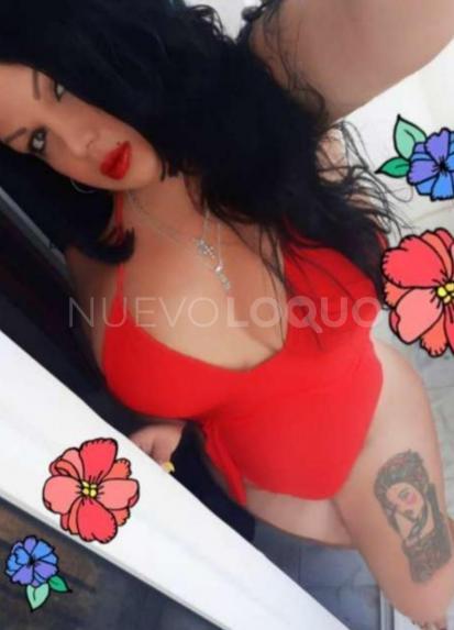 NuevoLoquo3