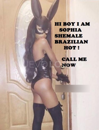  Sophia trans mulata para una verdadera   SHEMALE XXL()