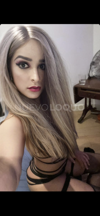 NuevoLoquo1
