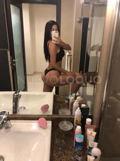 NuevoLoquo2