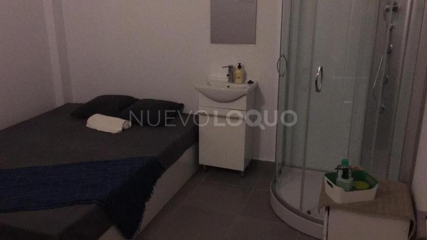 NuevoLoquo3