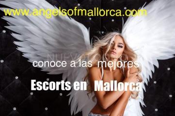 www.angelsofmallorca.com