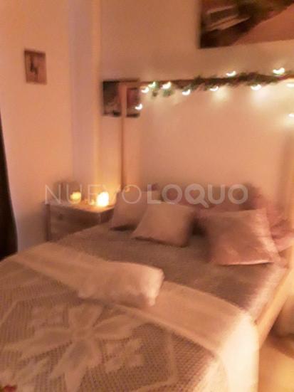 NuevoLoquo3