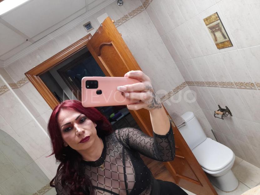 NuevoLoquo3