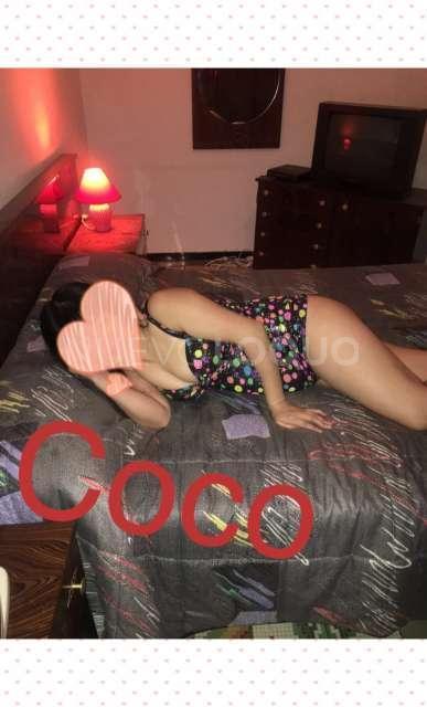 NuevoLoquo1