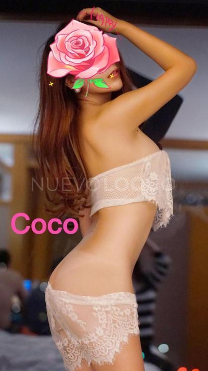 NuevoLoquo1