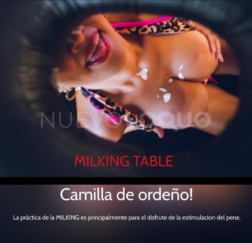 NuevoLoquo5