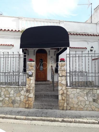 NuevoLoquo3