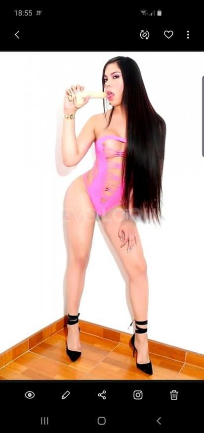 NuevoLoquo2