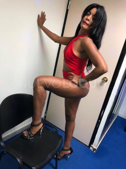NuevoLoquo3