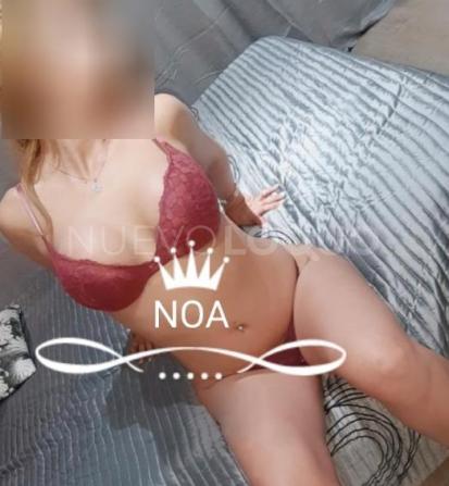 NuevoLoquo3