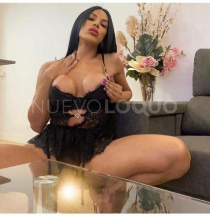 NuevoLoquo3