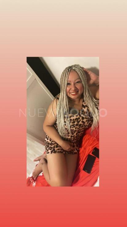 NuevoLoquo2