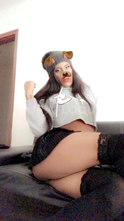 NuevoLoquo2