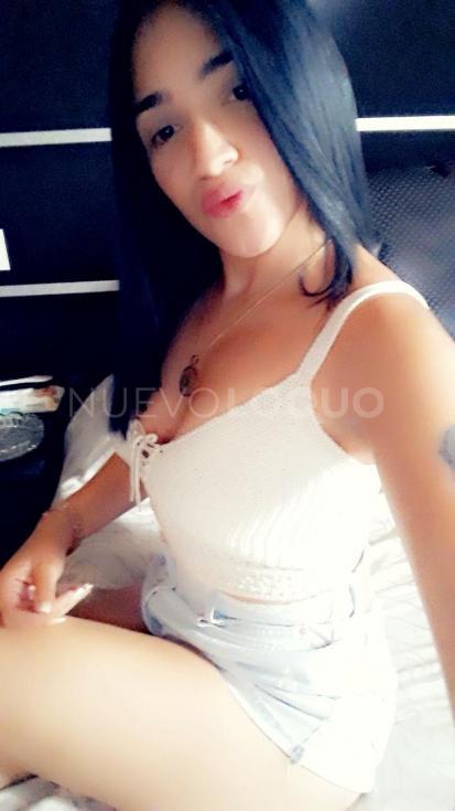NuevoLoquo1