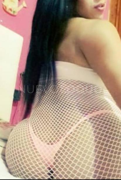   y  rosas TRANS TELF 