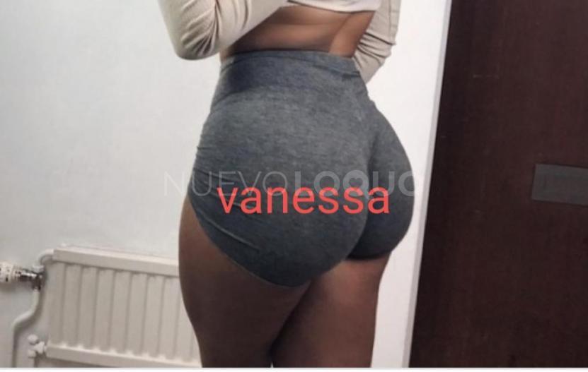 NuevoLoquo3