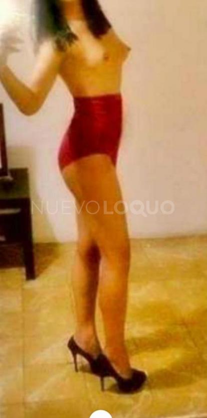 NuevoLoquo1