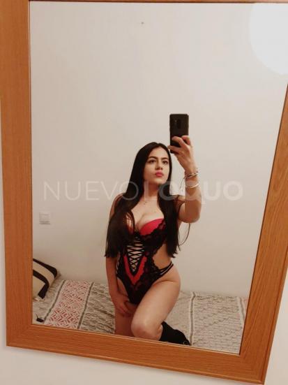 NuevoLoquo3