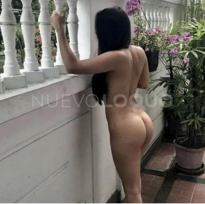 NuevoLoquo1