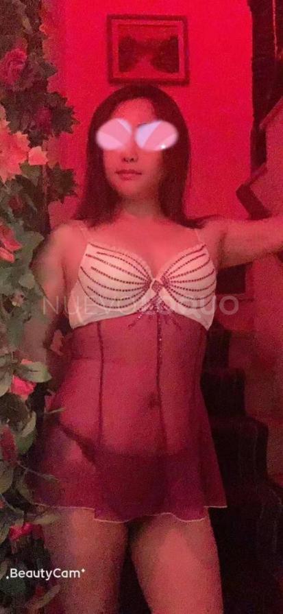 NuevoLoquo2