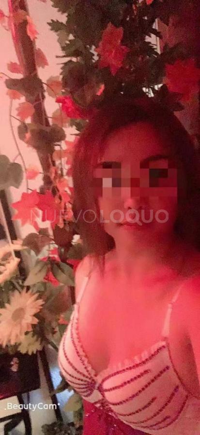 NuevoLoquo5