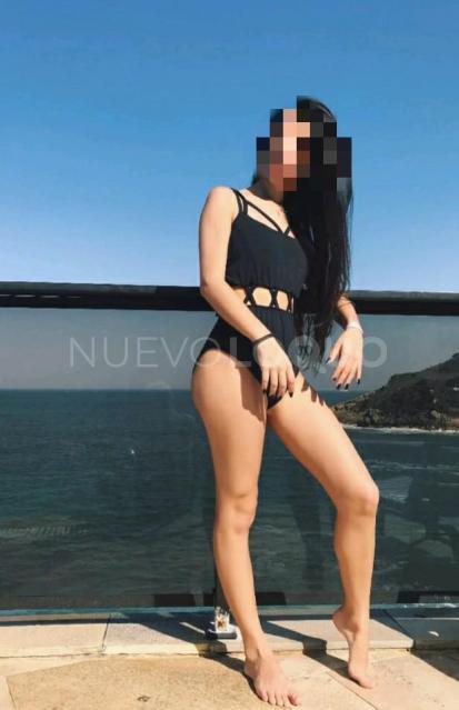 NuevoLoquo3