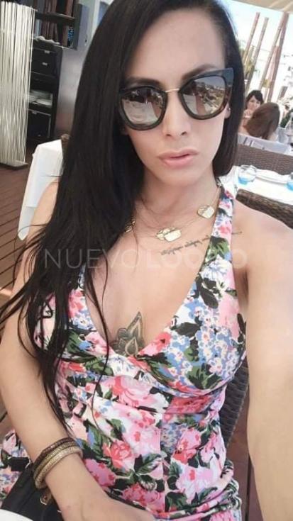 NuevoLoquo3