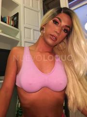 Novedad la reina de la 