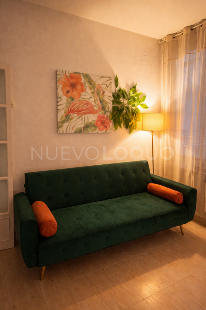 NuevoLoquo2