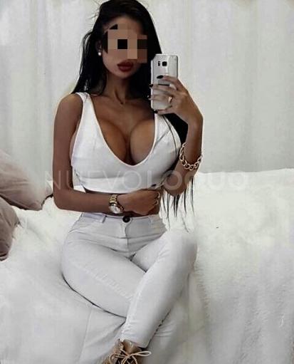 NuevoLoquo2