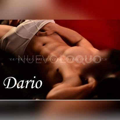 NuevoLoquo2