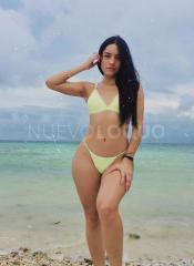 NOVEDAD     
