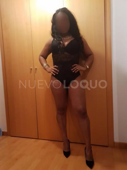 NuevoLoquo2