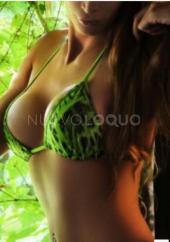 Travesti novedad