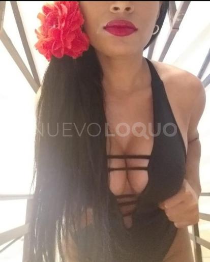 NuevoLoquo1